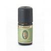 Primavera Angelica Root* bio 5ml