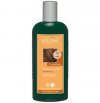 Logona Farbpflege Shampoo Haselnuß 250ml